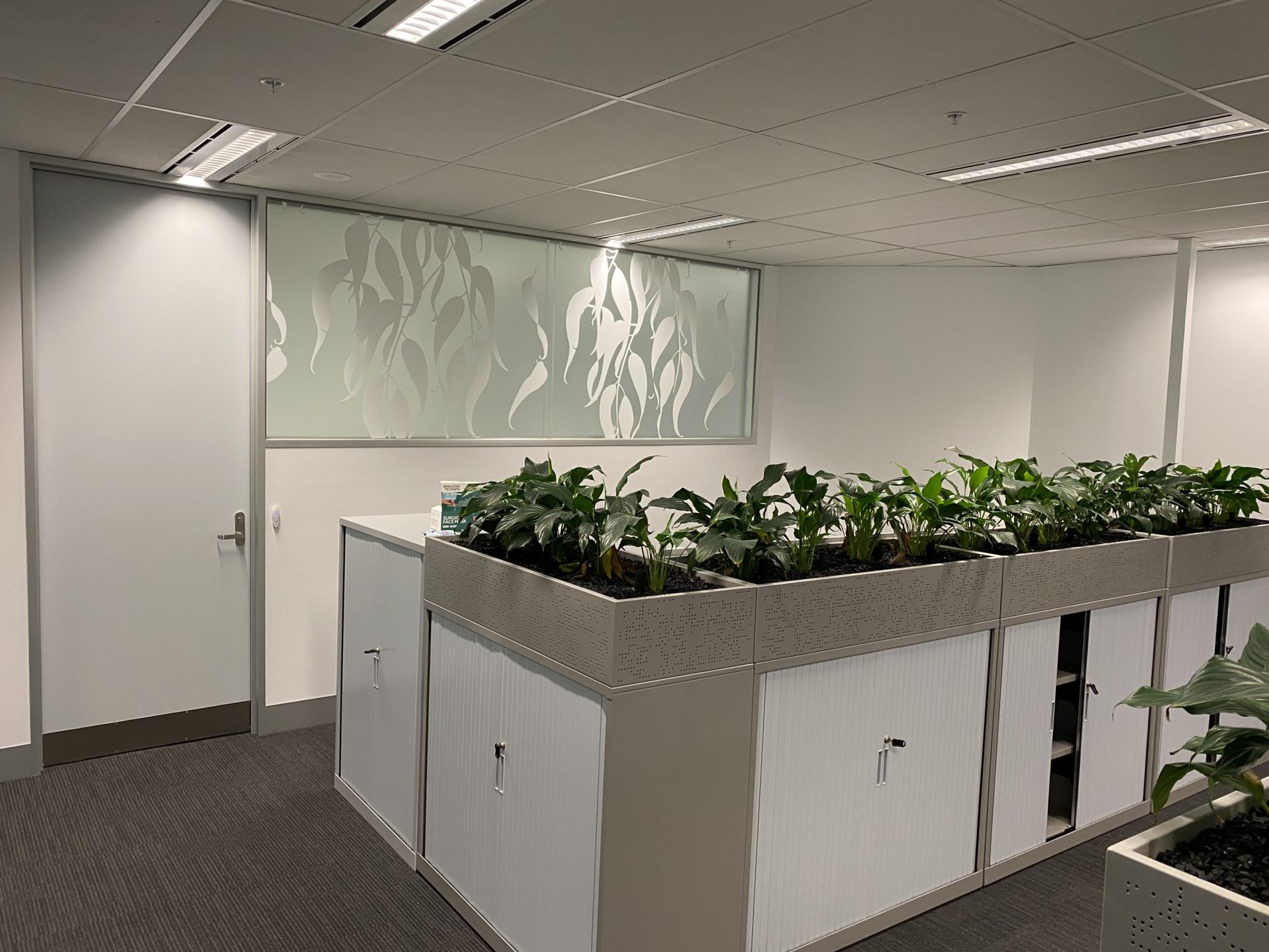 Government Office Fitout